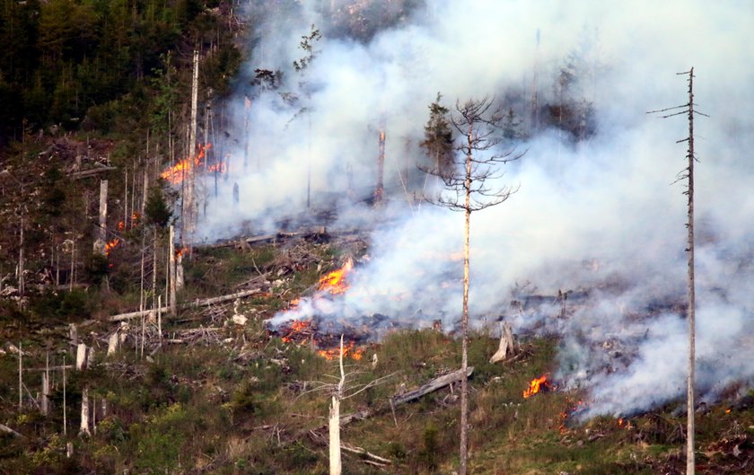 Olbrzymi pożar w Tatrach. Ewakuowano turystów