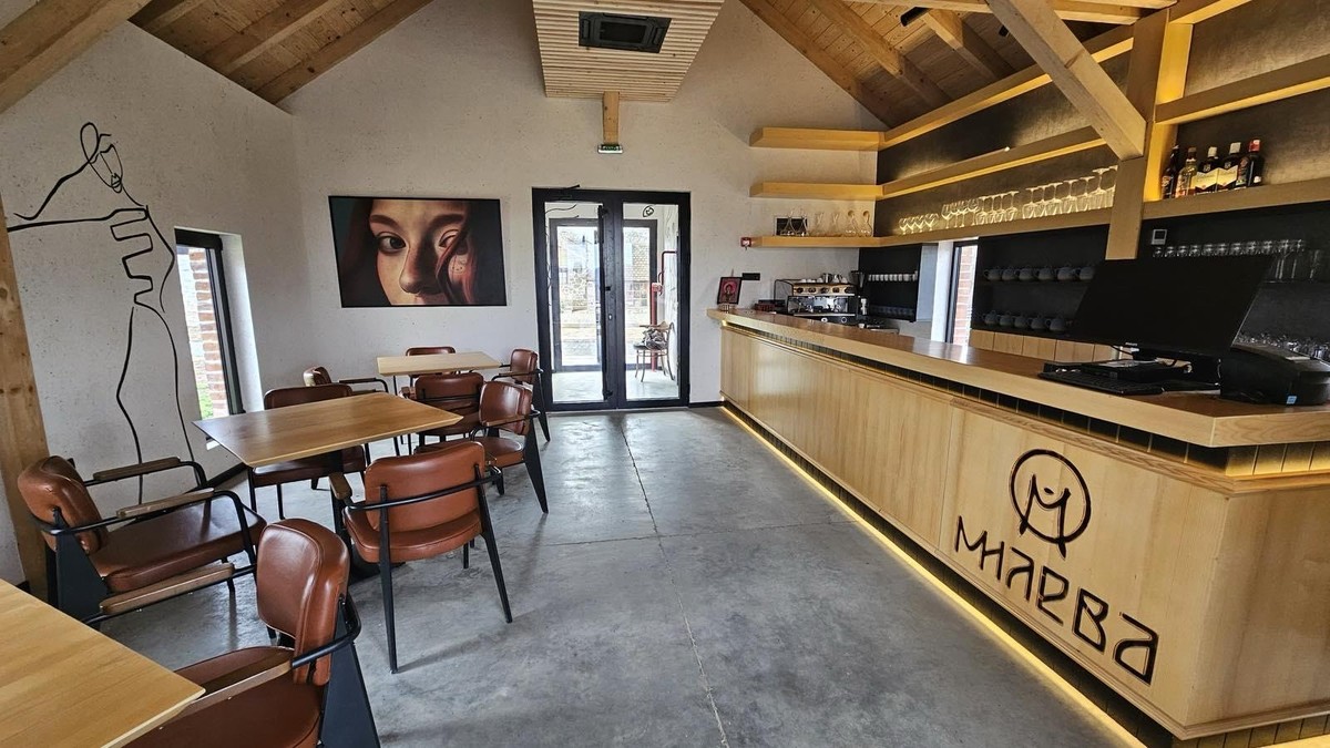 Aleksić galerija, Kragujevac