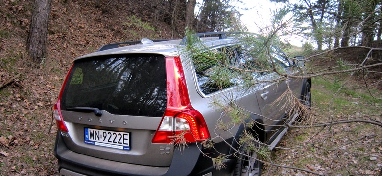 Takim samochodem jeździ Trzaskowski. We wnętrzu dzieło szwedzkiego księcia [OŚWIADCZENIE MAJĄTKOWE]