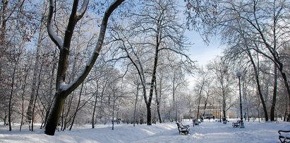 Nareszcie prawdziwa zima! Śnieg zasypał Polskę