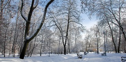 Nareszcie prawdziwa zima! Śnieg zasypał Polskę