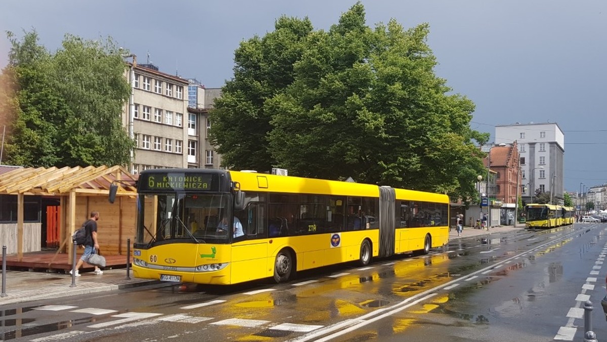 Śląsk: Głodowe zarobki kierowców. Wiemy, ile zarabia kierowca autobusu