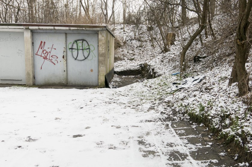 Wstrząsające fakty z Rybnika. Ruszył proces Adriana P.