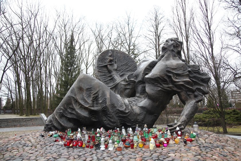 Wielka awantura o park Powstańców