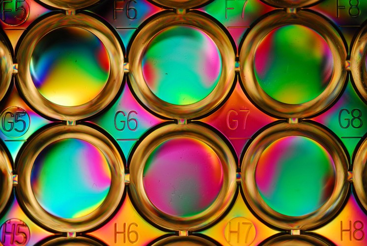 „Microtiterplate”