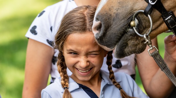 Dzieci podczas tygodniowych turnusów poznają życie koni, uczą się nimi opiekować, czyścić, siodłać oraz jeździć. 