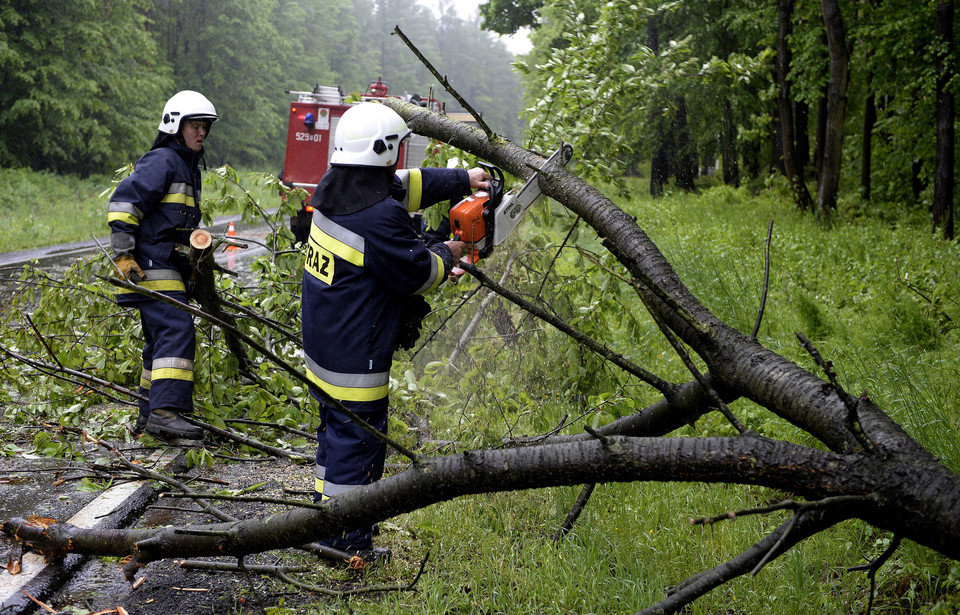 TRYŃCZA POGODA OPADY DESZCZU WIATR (strażacy usuwają powalone drzewo)