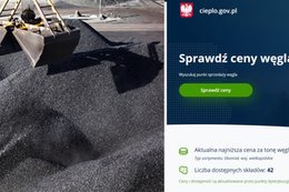 Rządowa porównywarka cen węgla już działa