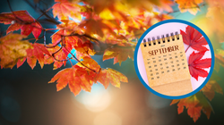 Kiedy zaczyna się jesień w 2024 roku? Odpowiedź może cię zaskoczyć [DATY]