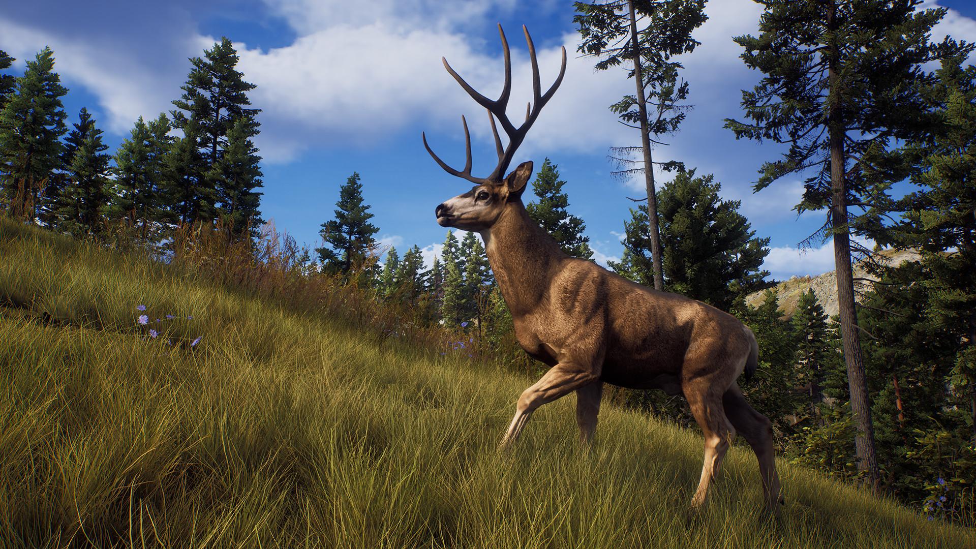Oficiálny obrázok z hry Way of the Hunter.