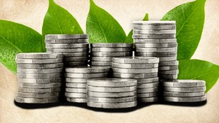 Taką energię firmy kupują dziś najchętniej. Zaskakujący trend