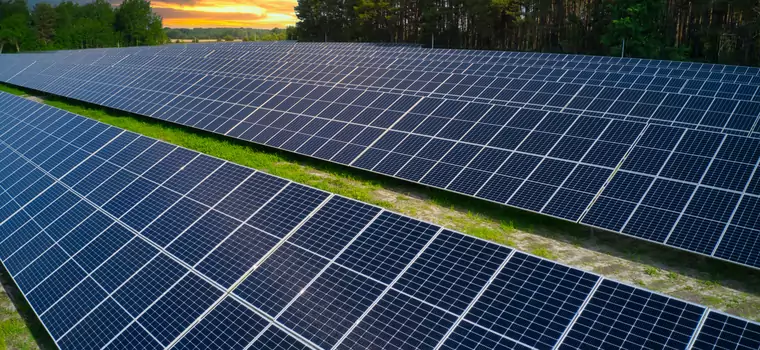 PGE buduje ogromną farmę fotowoltaiczną. Zapewni prąd dla 25 tys. gospodarstw domowych