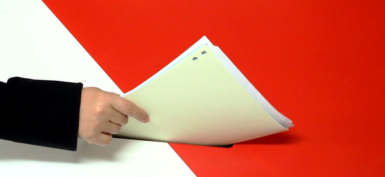 Ukraińcy obserwowali wybory samorządowe w Polsce. Czego się nauczyli?
