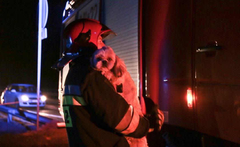 Wypadek po Zieloną Górą