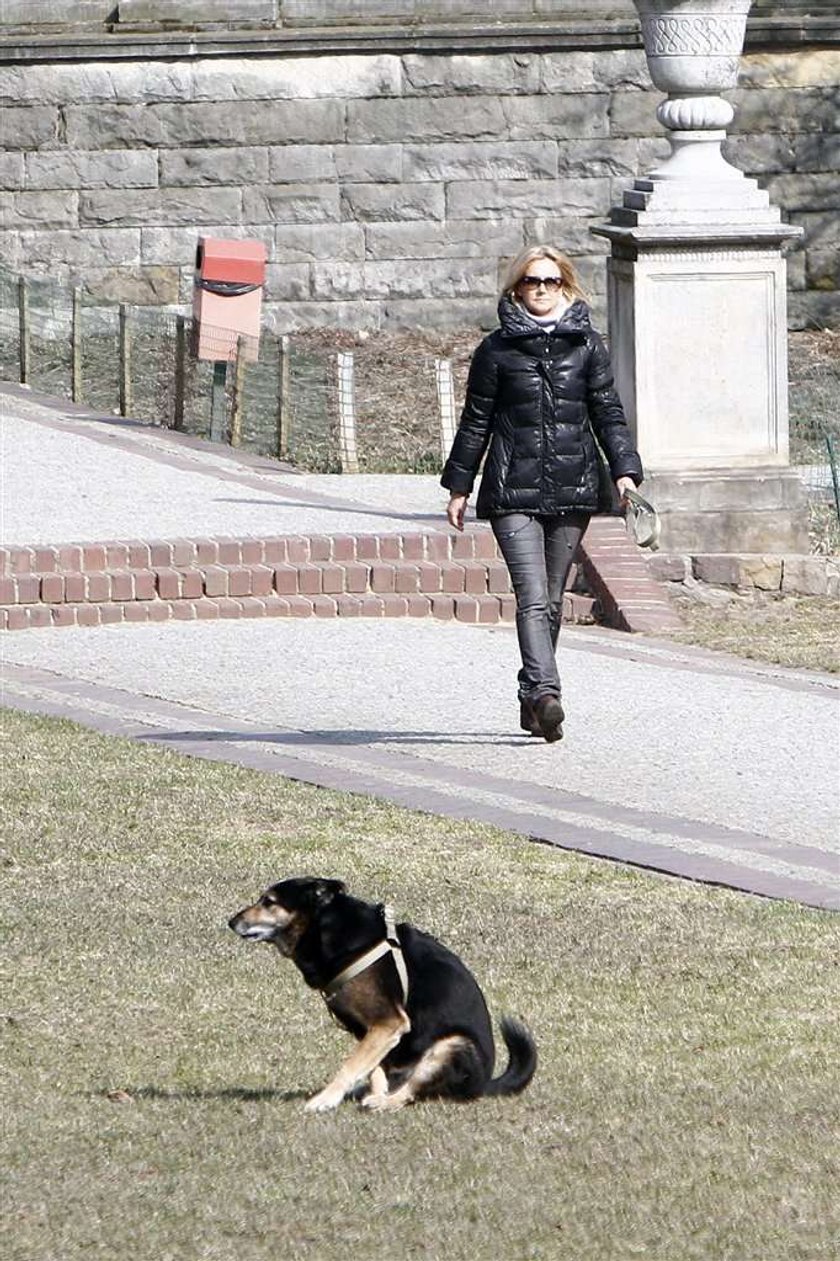 Torbicka sprząta po psie. Foto