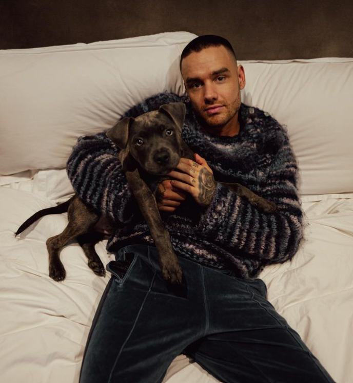 Spevák Liam Payne.
