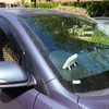 Automobil