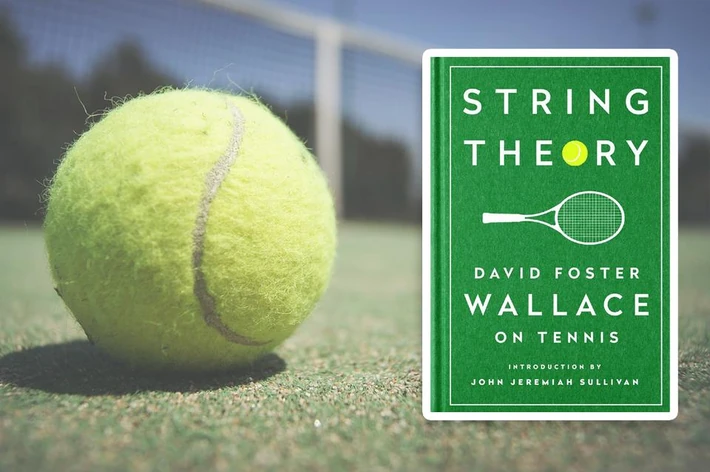 „Teoria strun”, David Foster Wallace