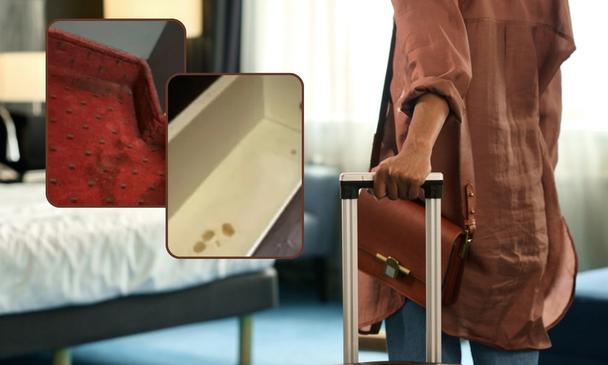 Opisała wakacje grozy w łódzkim hotelu. Grzyb, pleśń i resztki po poprzednich gościach