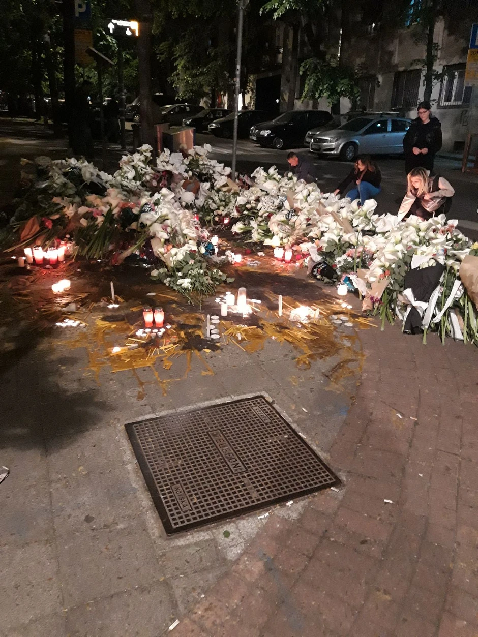 Škola "Vladislav Ribnikar"