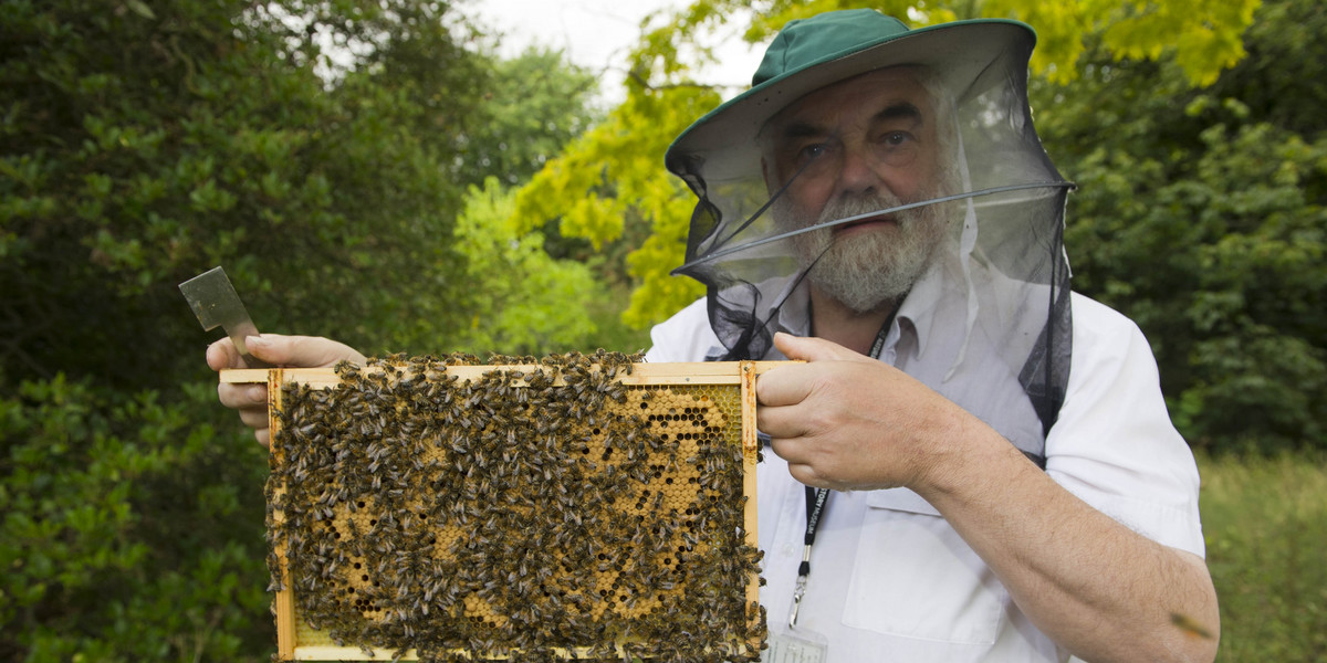 Królewskie pszczoły zostały poinformowane o śmierci królowej Elżbiety II.
