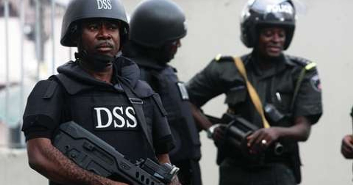 Be more professional - Igbo group tells DSS over 'charge and bail tweet' - Vimarsana News