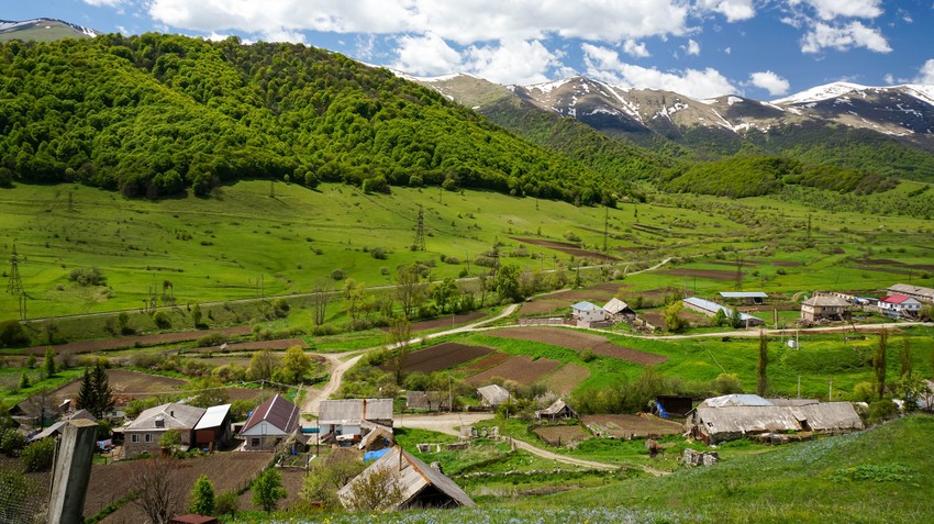  Fioletovo