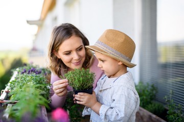 Gyógyteák őszre gyerekeknek - ezeket ajánlja Szabó Gyuri