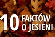 10 faktów o jesieni