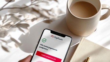 ksef: cyfrowy skok wywołał administracyjne trzęsienie ziemi