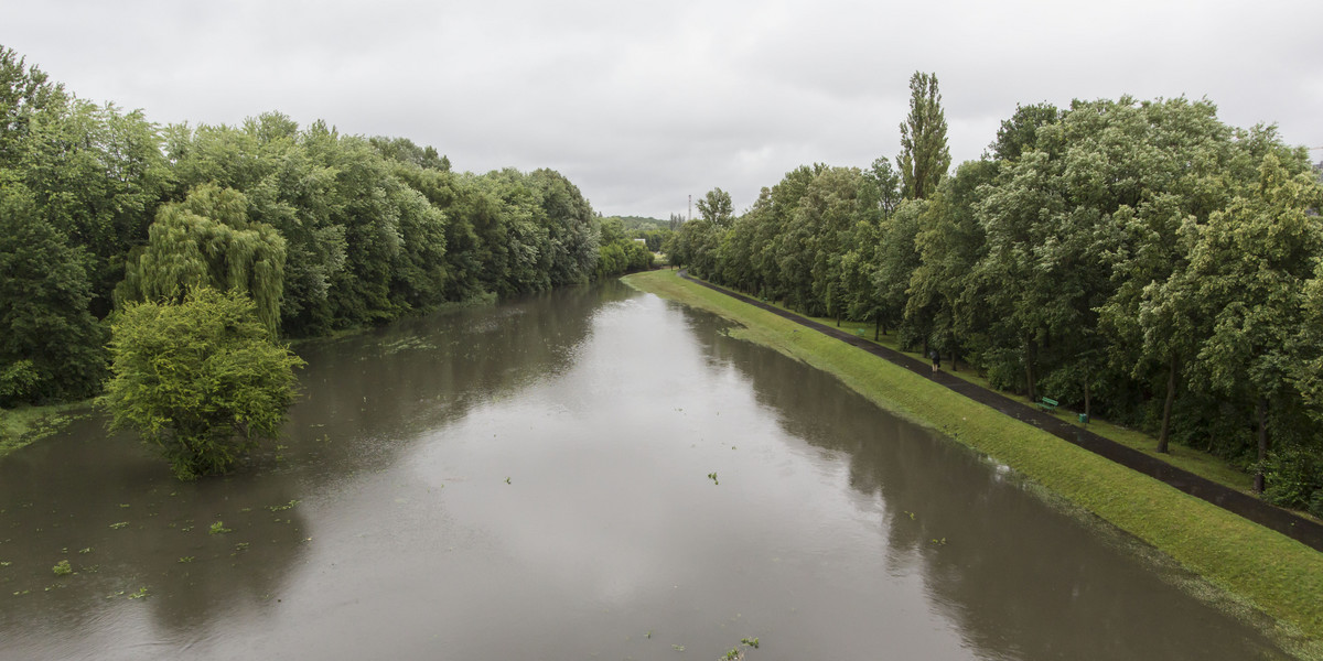 Rzeka Bogdanka w Poznaniu
