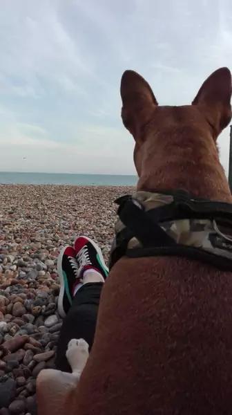 Magda ze swoim pieskiem na plaży w Brighton / zdjęcie dzięki uprzejmości bohaterki