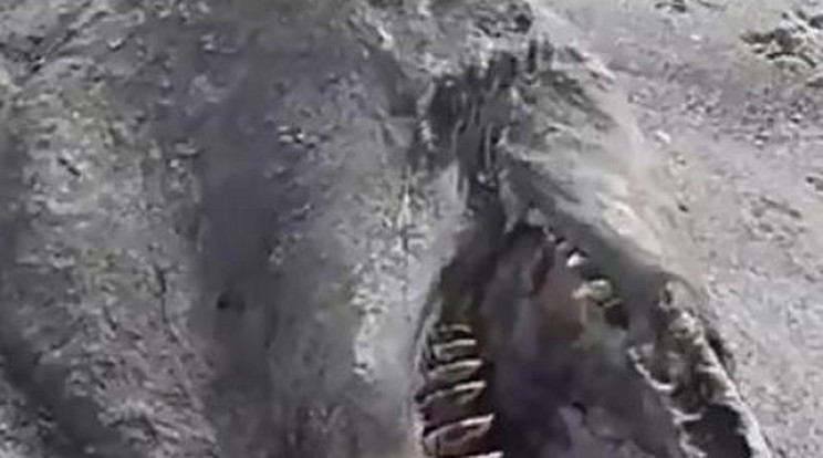 Tengeri szörnyet találtak Új-Zélandon - videó