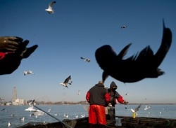 Konflikt o połowy na wodach wyspy Jersey. KE do Francji i Wielkiej Brytanii: "Uspokójcie się"
