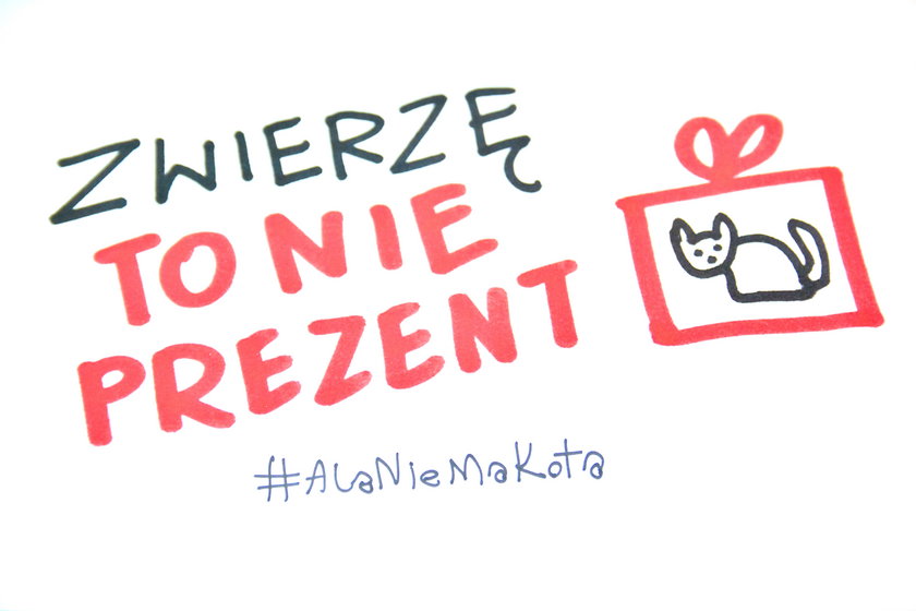 Zwierzęta to nie prezent”