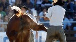 Montevideo, "Criolla" - zawody o tytuł najlepszego jeźdźca