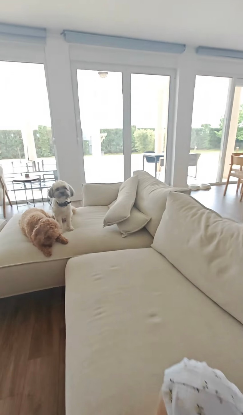 Salaš Nataše Bekvalac