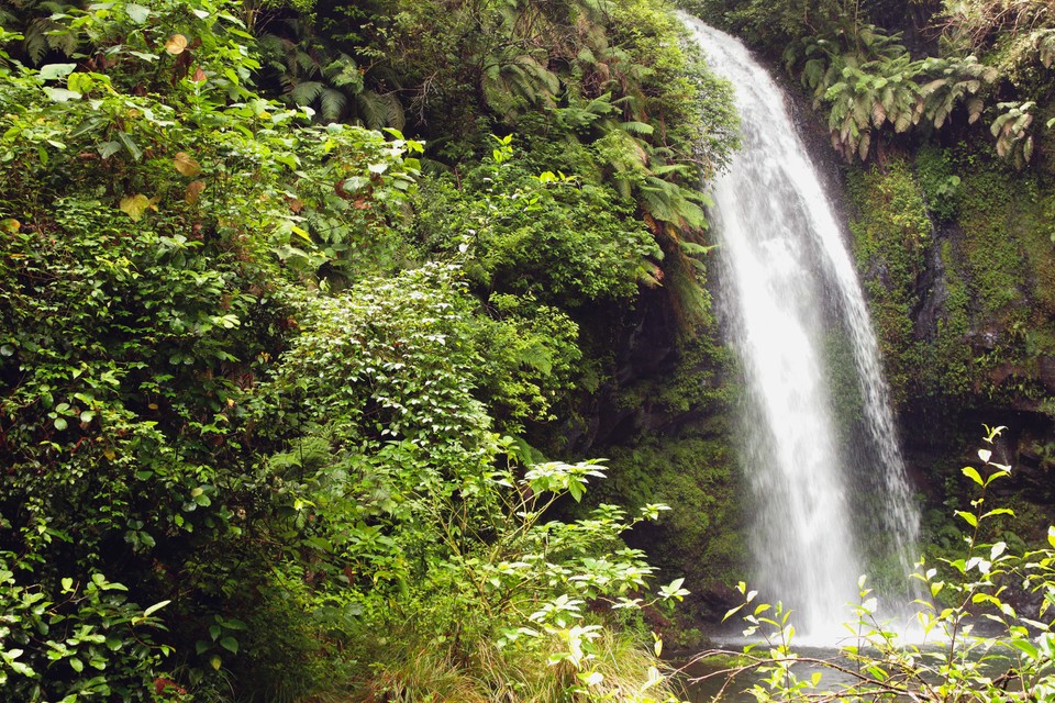 10 ciekawych faktów o Madagaskarze