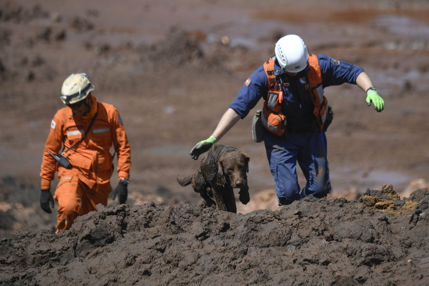 Members of a rescue team carry a body recovered after a tailings dam owned by Brazilian mining compa