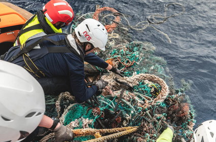 Wśród śmieci w oceanach żyją bezkręgowce. Wiele z nich to gatunki przybrzeżne