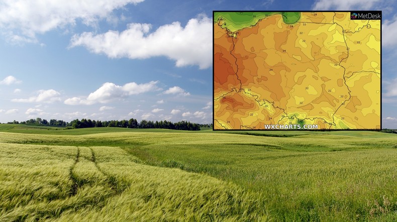 Lato niedługo zawita do Polski. Temperatura poszybuje do 28 st. C (mapa: wxcharts.com)