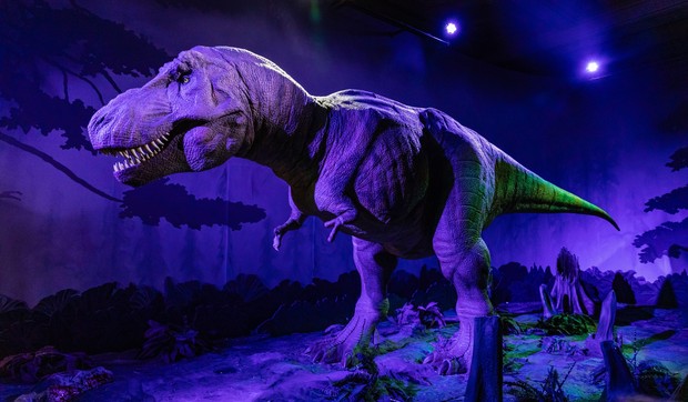 Tiranosaurus reks