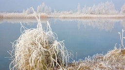 tej nocy mróz uderzy najmocniej. synoptycy wskazują konkretną datę. czy w nocy z 17 na 18 grudnia będzie mróz w polsce? imgw prognoza pogody 17.12.2025
