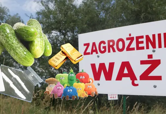 Pytony, narkotyki i zamki-widmo. W "sezonie ogórkowym" łapiemy się na najgłupsze newsy