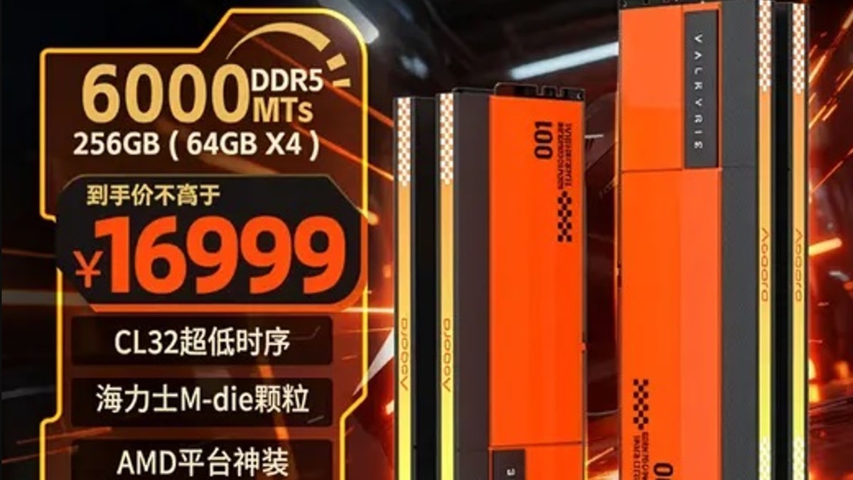 Asgard 256GB RAM DDR5