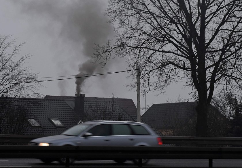 Kiedy rośnie stężenie smogu, wzrasta też liczba chorych