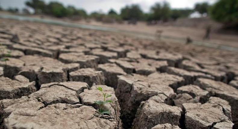 Strongest El Nino in nearly 20 years ends 