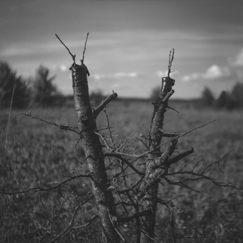 Miejsca, których nie ma