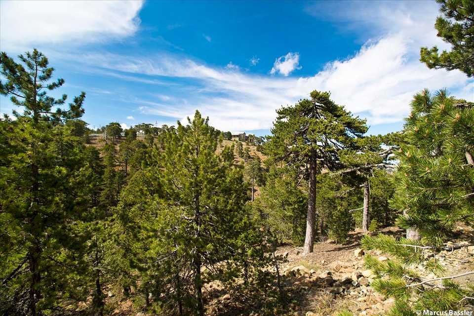 Cypr, góry Troodos