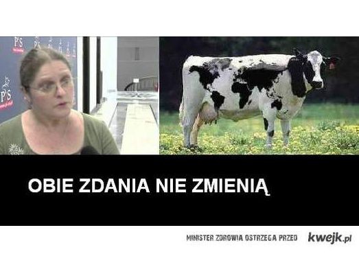 Krystyna Pawłowicz bohaterką memów